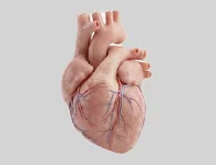 Cardiología