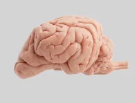 Neurología