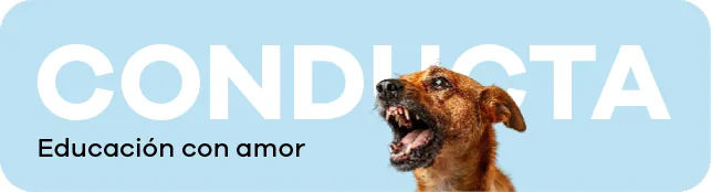 Conducta: educación con amor
