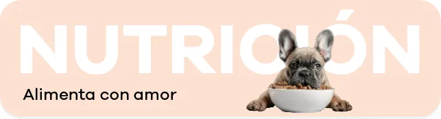 Nutrición: alimenta con amor